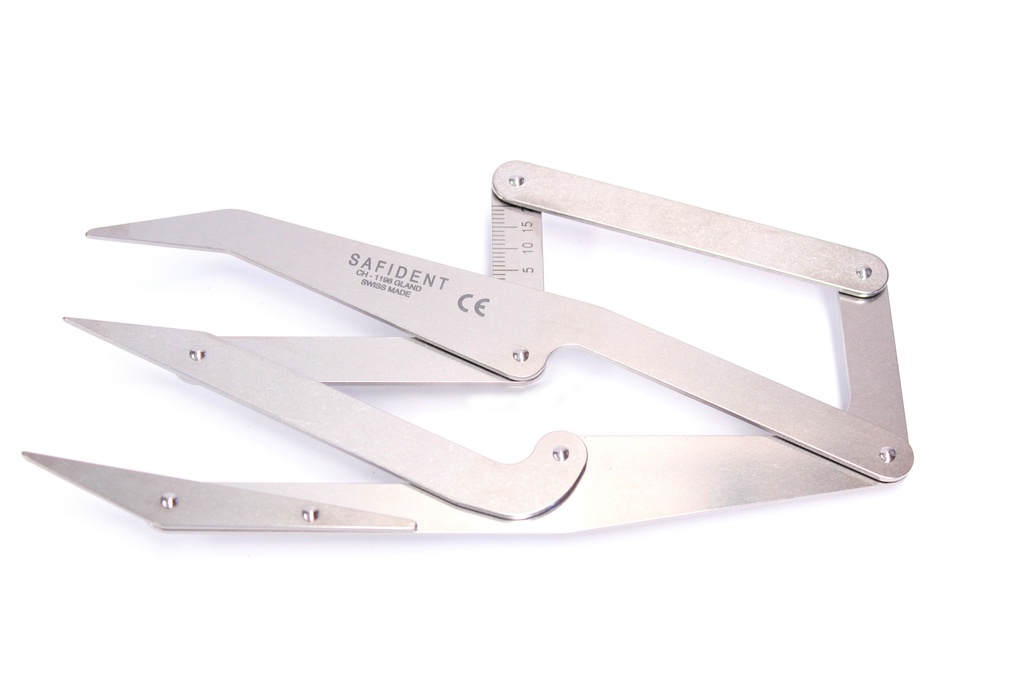 Golden Ruler (Measuring instrument)